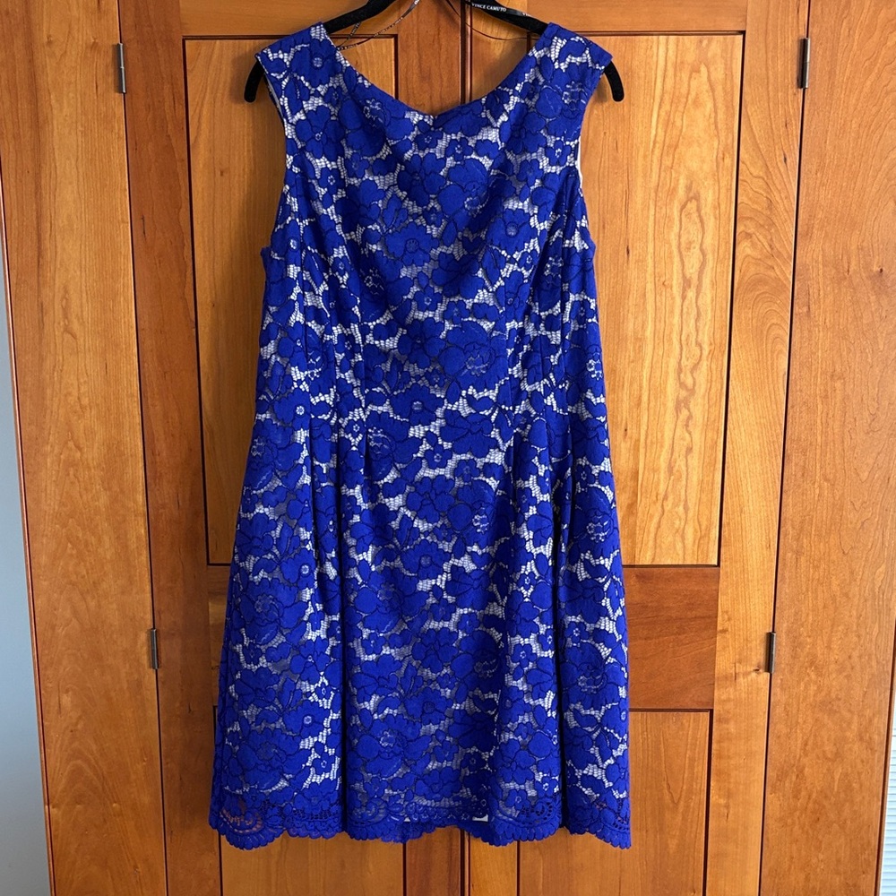 Vince Camuto Royal Blue Lace Midi Dress
